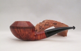 Smooth Rhodesian 1013 (SOLD)