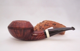 Smooth Rhodesian 114 (SOLD)